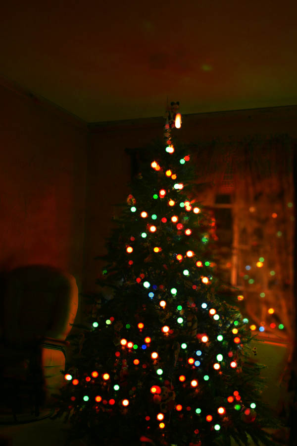 Christmas tree [Double exposure, dark over light, Pin Light] <!--CRW_1842.CRW and CRW_1843.CRW-->
